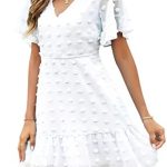 ROYLAMP Women’s Cute Swiss Dot Dress V-Neck Ruffle Short Sleeve Casual Flowy Babydoll Shift Mini Dresses