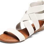 DREAM PAIRS Women’s Elastic Ankle Strap Flat Gladiator Sandals Low Wedges Sandals for Summer